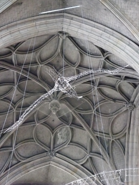 Y_Lefevre_Oiseau_.jpg Y_Lefevre_Oiseau_.jpg